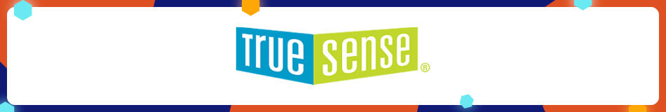 TrueSense is a certified professional Google Ad Grant agency.